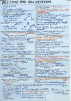 Cell cycle and Cell Division.pdf